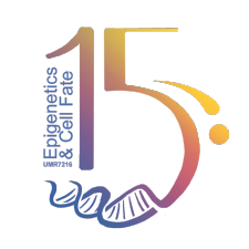 Vignette illustrant cette actualité