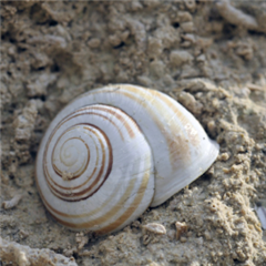 Vignette illustrant cette actualité