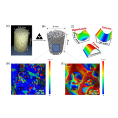 Vignette illustrant cette actualité