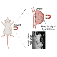 Vignette illustrant cette actualité