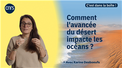 Vignette illustrant cette actualité