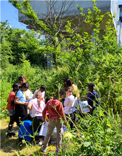 Vignette illustrant cette actualité