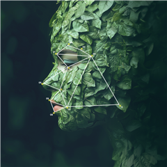 Vignette illustrant cette actualité