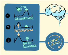 Vignette illustrant cette actualité