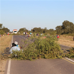 Vignette illustrant cette actualité