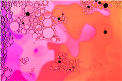 Image illustrant cette actualité