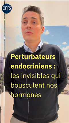 Vignette illustrant cette actualité