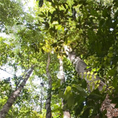 Vignette illustrant cette actualité