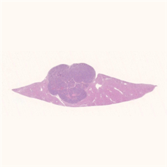 Vignette illustrant cette actualité