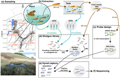 Vignette illustrant cette actualité