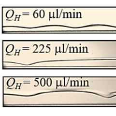 Vignette illustrant cette actualité