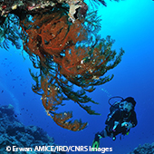 Vignette illustrant cette actualité