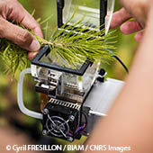 Vignette illustrant cette actualité