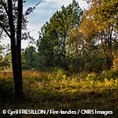 Vignette illustrant cette actualité