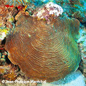 Vignette illustrant cette actualité