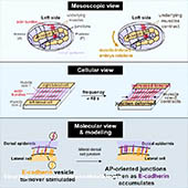 Vignette illustrant cette actualité