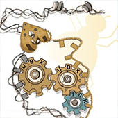 Vignette illustrant cette actualité