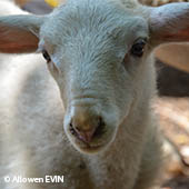 Vignette illustrant cette actualité