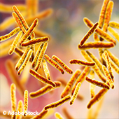 Vignette illustrant cette actualité