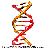 Vignette illustrant cette actualité