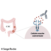 Vignette illustrant cette actualité