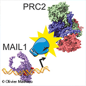 Vignette illustrant cette actualité