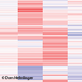 Image illustrant cette actualité