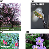 Vignette illustrant cette actualité