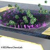 Vignette illustrant cette actualité
