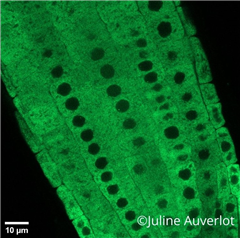 Image illustrant cette actualité