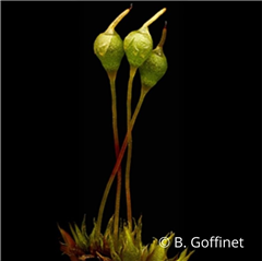 Image illustrant cette actualité