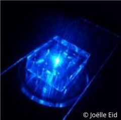 Image illustrant cette actualité