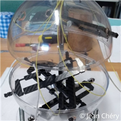 Image illustrant cette actualité