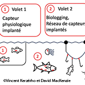 Image illustrant cette actualité