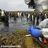 Vignette illustrant cette actualité