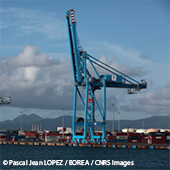 Vignette illustrant cette actualité