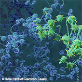 Vignette illustrant cette actualité