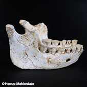 Vignette illustrant cette actualité