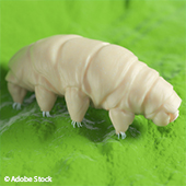 Vignette illustrant cette actualité