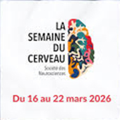 Vignette illustrant cette actualité