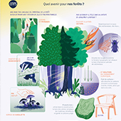 Image illustrant cette actualité