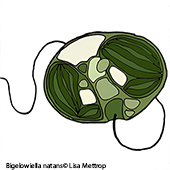 Vignette illustrant cette actualité