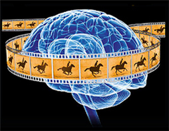 Vignette illustrant cette actualité