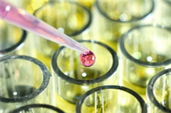 Vignette illustrant cette actualité