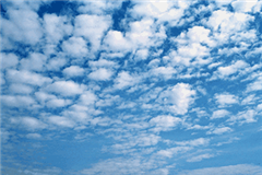 Vignette illustrant cette actualité