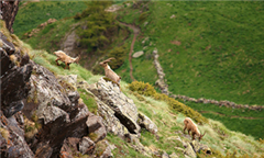 Vignette illustrant cette actualité