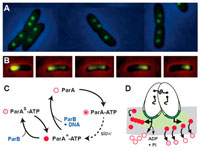 Vignette illustrant cette actualité