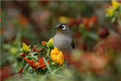 Vignette illustrant cette actualité