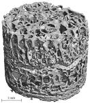 Vignette illustrant cette actualité