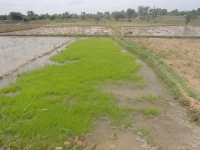 Vignette illustrant cette actualité